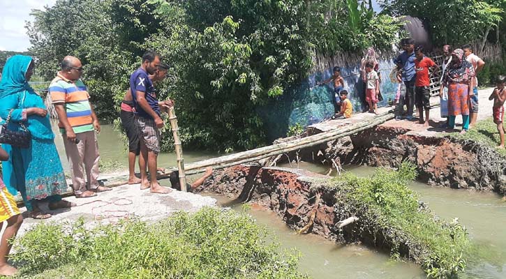 বাগেরহাটে পানির চাপে নদীতে বিলীন রাস্তা-কালভার্ট